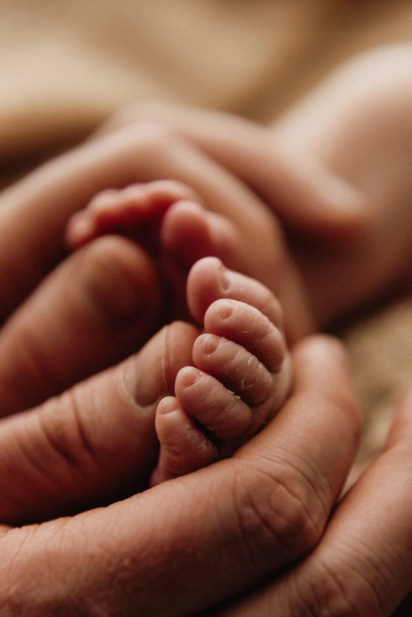 Bradford newborn photographer capturing tiny hands and feet