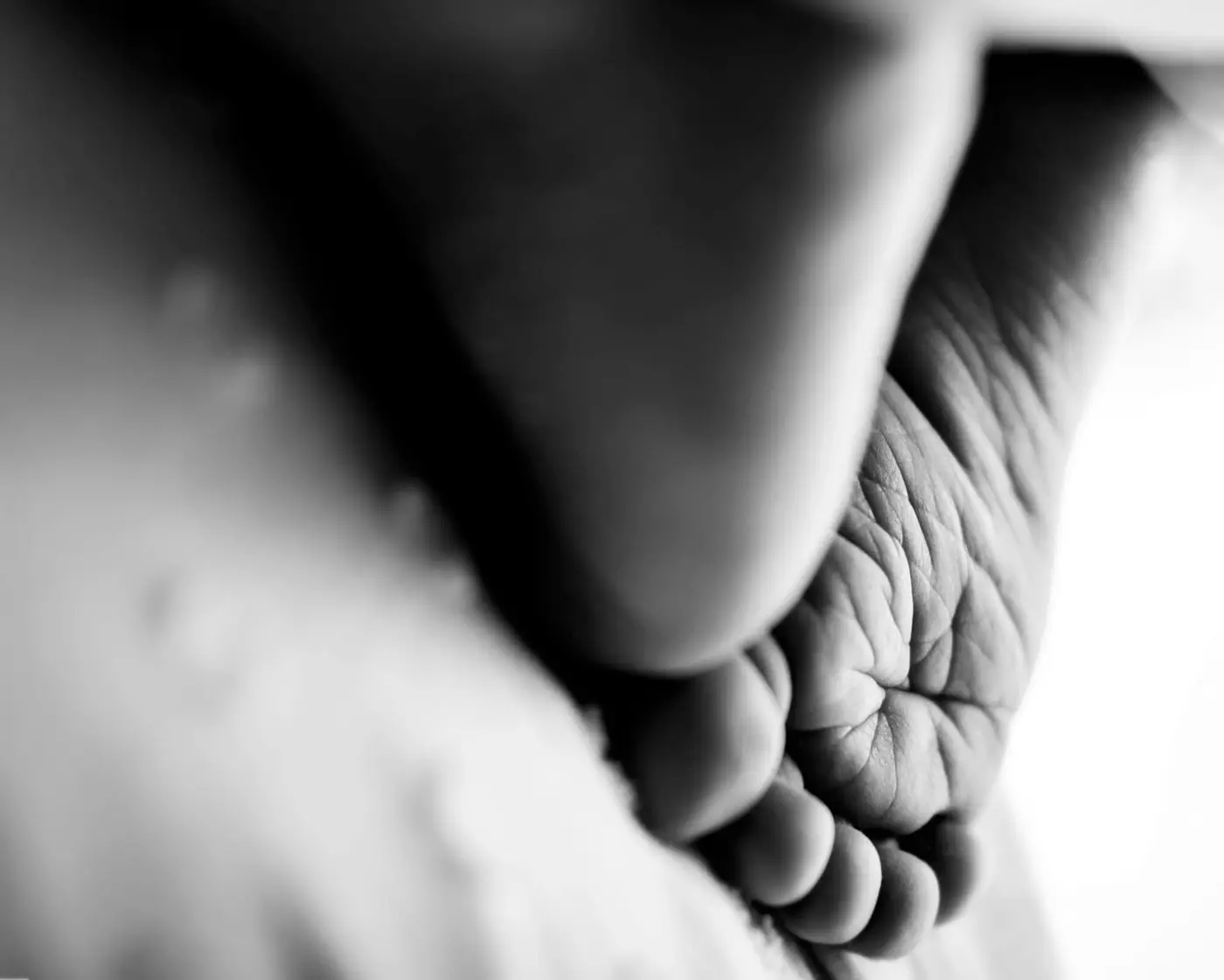 tiny feet in a leeds newborn photography studio