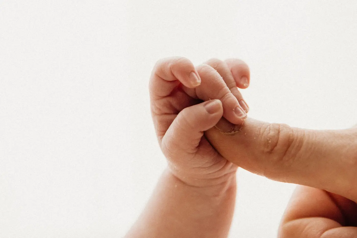 newborn photographer bradford baby girl